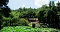 長沙出發(fā)到花明樓、韶山、張家界國家森林公園、天門仙山國家森林公園四日游